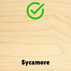 Sycamore