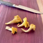 purple-heart-cutting-boards